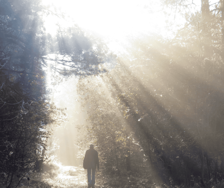 Grief Blog Ehc
