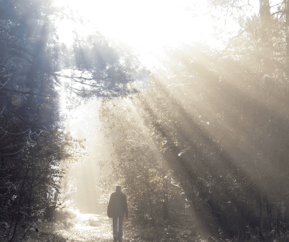 Grief Blog Ehc